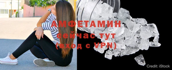шишки Белокуриха