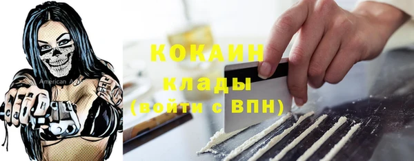 шишки Белокуриха