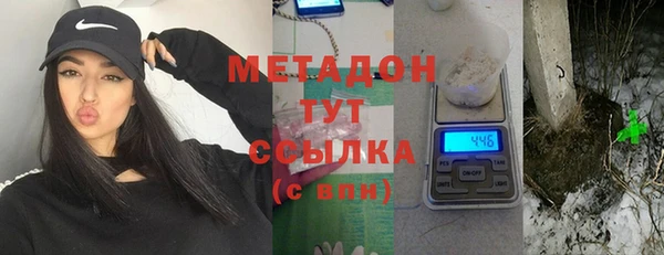 шишки Белокуриха