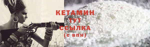 шишки Белокуриха