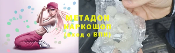 шишки Белокуриха