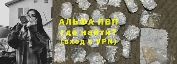 шишки Белокуриха