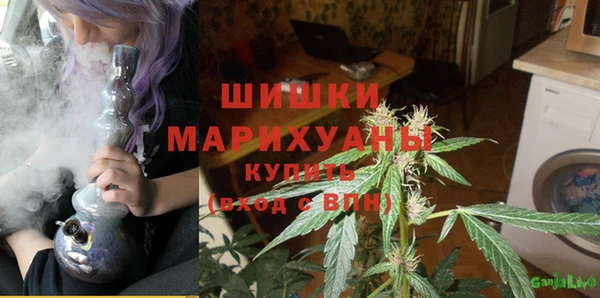 шишки Белокуриха