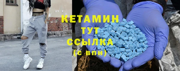 шишки Белокуриха