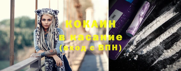 шишки Белокуриха